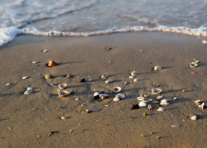 شقة Comfy Flat In A Newly Built Village بيبيوني